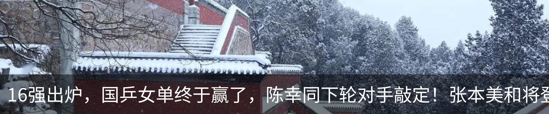 最新动态